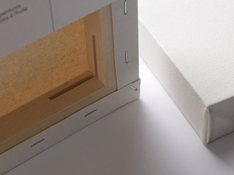 Picture of the back of a Winsor & Newton Professional Canvas measuring 10 by 8 inches, showing the wooden frame and stapled canvas.